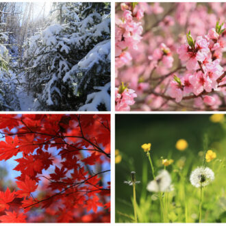 Collage images of four seasons