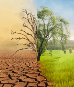 Climate Change: 4 Simple Ways to Shrink Your Carbon Footprint