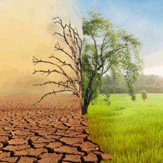 climate change 2